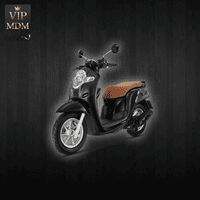 HONDA SCOOPY
