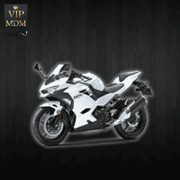 NINJA 250 CC